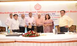 Agri Business-4