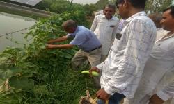 ToT Lead farmers-23